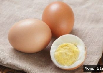 Rahasia Telur Rebus Enak: 1 Bahan Dapur, Rasa Bintang Lima!