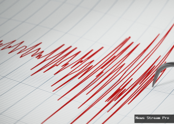 Gempa 5.1 Magnitudo Guncang Timor Tengah Utara: Info Terkini!