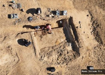 Geger! Makam Kepala Suku Viking Ditemukan di Denmark, Artefak Mengagumkan!