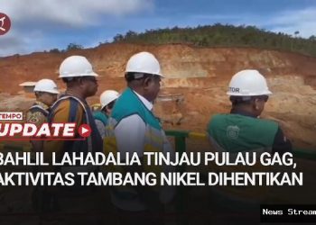 Raja Ampat Terancam: Pemerintah Didesak Tutup Permanen Tambang!