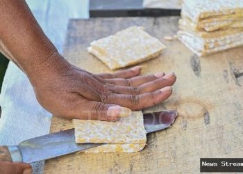 Tempe Mendunia: Syarat Agar Diakui Warisan Budaya Takbenda UNESCO