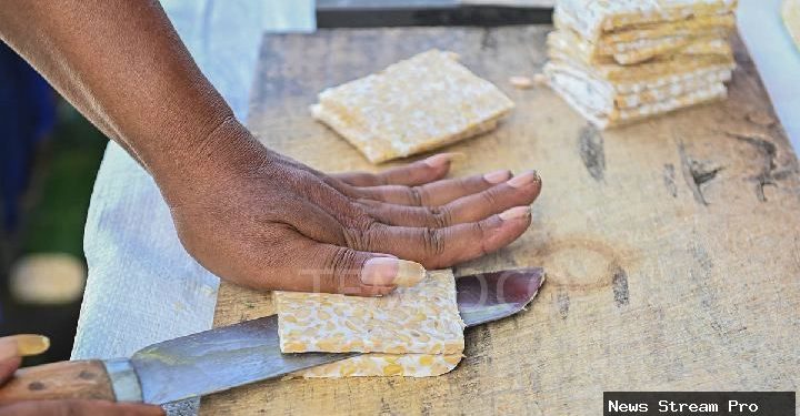 Tempe Mendunia: Syarat Agar Diakui Warisan Budaya Takbenda UNESCO