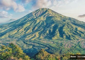 Klarifikasi TN Gunung Merbabu Soal Dugaan Pengkaplingan Area Camping