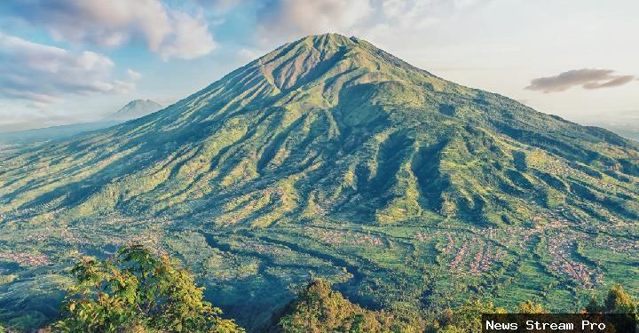 Klarifikasi TN Gunung Merbabu Soal Dugaan Pengkaplingan Area Camping