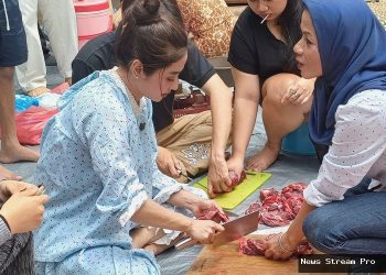 Dewi Perssik Kurban Sapi: Potong Sendiri, Bagi ke Tetangga!
