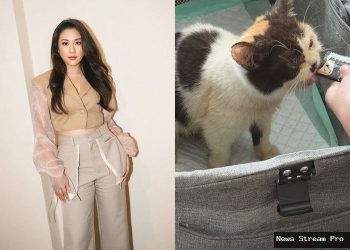 Sherina Munaf Diperiksa Polisi: Kasus Kucing Uya Kuya yang Hilang?