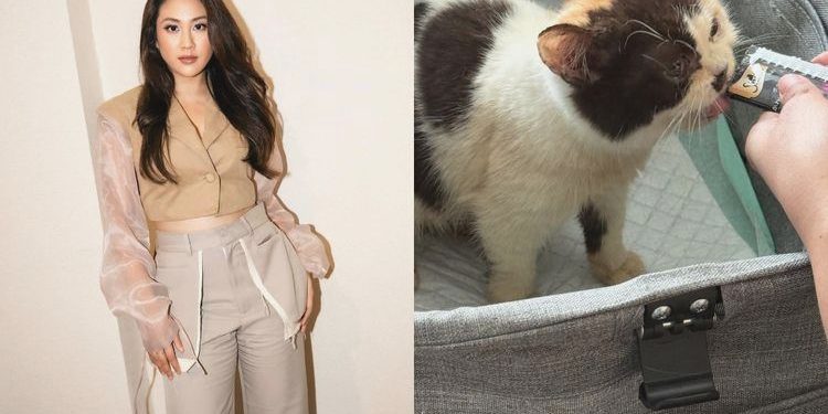 Sherina Munaf Diperiksa Polisi: Kasus Kucing Uya Kuya yang Hilang?