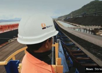 Dividen PTBA Terancam? Harga Batubara Anjlok Pengaruhi Nasib Investor