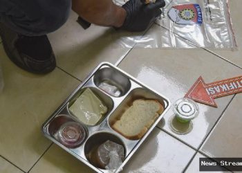 Pangsit Goreng MBG Viral: Fakta dari BGN, Aman Dikonsumsi?