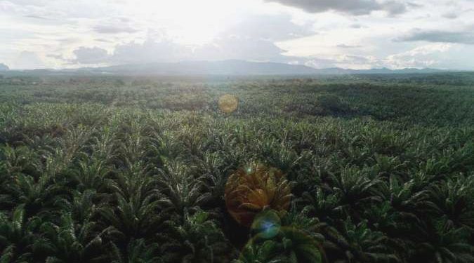 TLDN Bagi Dividen Interim Ratusan Miliar: Ini Jadwal & Cara Mendapatkannya!