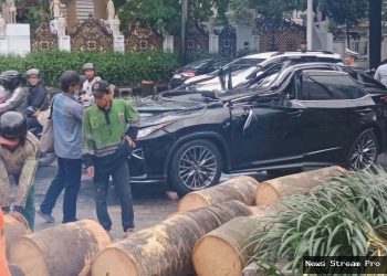 Tragis! Pohon Tumbang Hancurkan Lexus di Pondok Indah: 1 Tewas