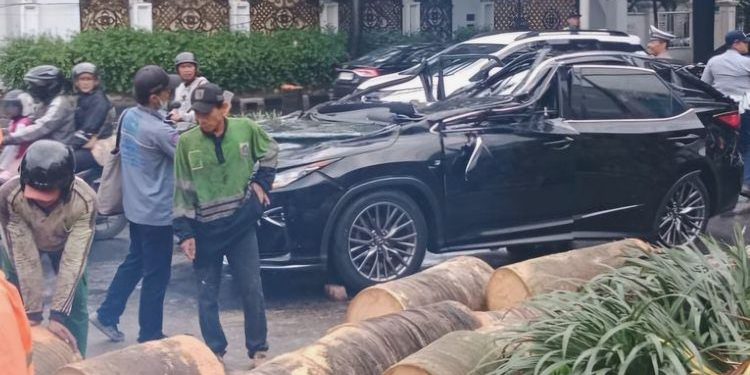Tragis! Pohon Tumbang Hancurkan Lexus di Pondok Indah: 1 Tewas