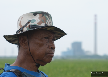 Pantura Terancam: Industri Gerogoti Lahan, Swasembada Pangan Hilang?