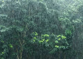 Waspada! Hujan Petir Sabtu 29 November 2025: Daftar Kota Terdampak