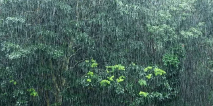 Waspada! Hujan Petir Sabtu 29 November 2025: Daftar Kota Terdampak