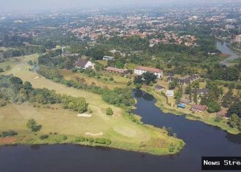 UANG: Happy Hapsoro Borong Saham Pakuan, Ini Rekomendasi Sahamnya!