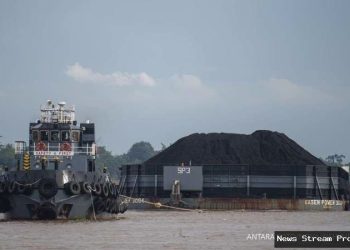 Harga Batu Bara Anjlok Akhir Tahun? Analisis & Prediksi Terbaru