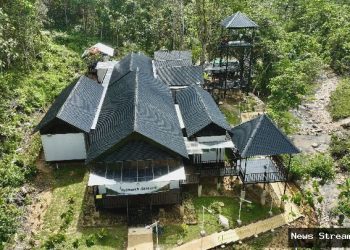 Primata vs. Tambang: Kisah Tragis di Balik Eksploitasi Alam