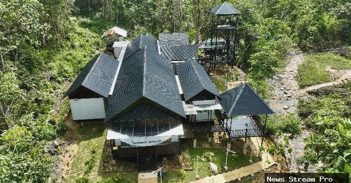 Primata vs. Tambang: Kisah Tragis di Balik Eksploitasi Alam