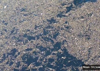 Banjir Sumatera: Bareskrim Usut Asal Kayu Ilegal?