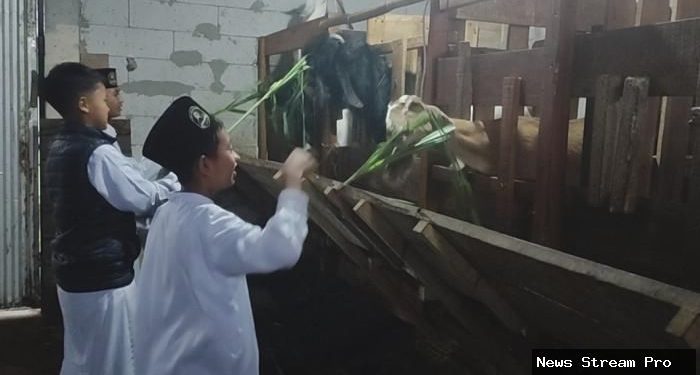 BI Purwokerto Dorong Pesantren MBS Sukses di Pertanian dan Peternakan