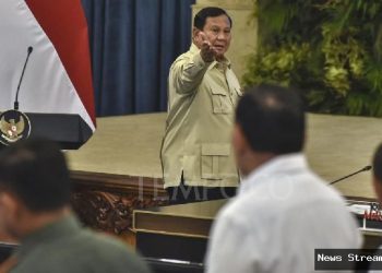 Serba-serbi perintah Prabowo tanam sawit di Papua