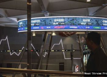 OJK masih kantongi 16 rencana IPO, simak rincian penawaran umum di tahun 2025