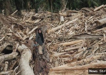 Banjir Sumatra, tsunami Aceh, dan likuifaksi Palu – apa perbedaan penanganannya?