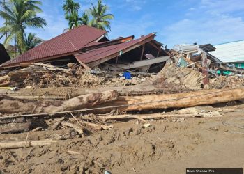 Kemenhut: Kayu terbawa banjir Sumatra boleh dipergunakan rakyat