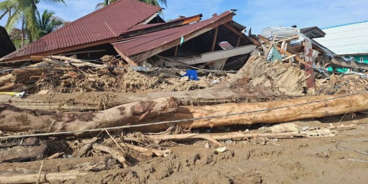 Kemenhut: Kayu terbawa banjir Sumatra boleh dipergunakan rakyat
