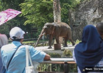 Libur Isra Miraj, pengunjung Ragunan capai 7.587 orang