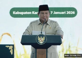 Prabowo umumkan Indonesia sudah capai swasembada pangan