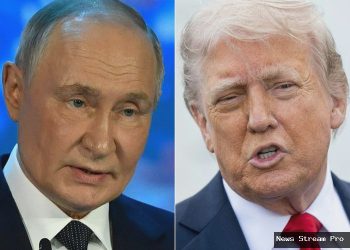 Putin mau sumbang Rp 17 triliun untuk Dewan Perdamaian, rayu Trump?