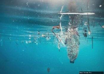 Fatwa MUI: Buang sampah ke sungai, danau, dan laut hukumnya haram