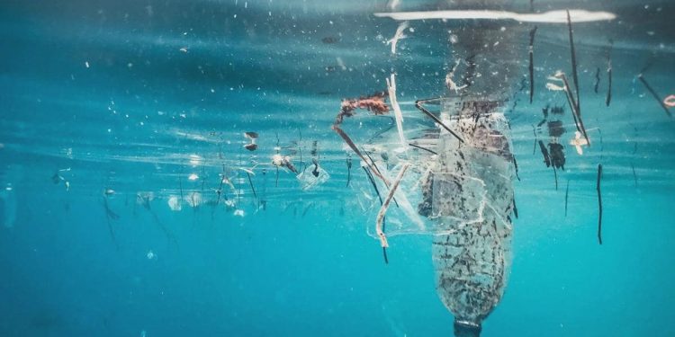 Fatwa MUI: Buang sampah ke sungai, danau, dan laut hukumnya haram
