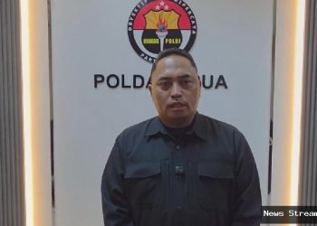 Pesawat Smart Air ditembak di Papua, pilot dan kopilot tewas