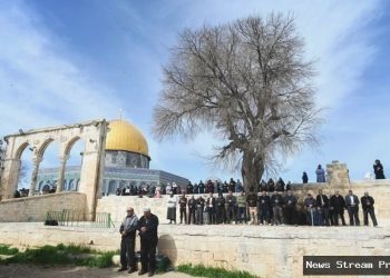 Israel tutup akses Masjid Al-Aqsa saat Idulfitri, warga Palestina protes