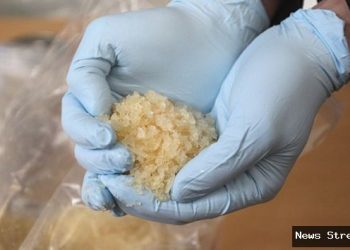 Bandar setor Rp 10 juta tiap pekan ke polisi di Toraja Utara