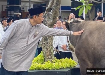 Purbaya kurban sapi, pakai dana pribadi setelah batal haji