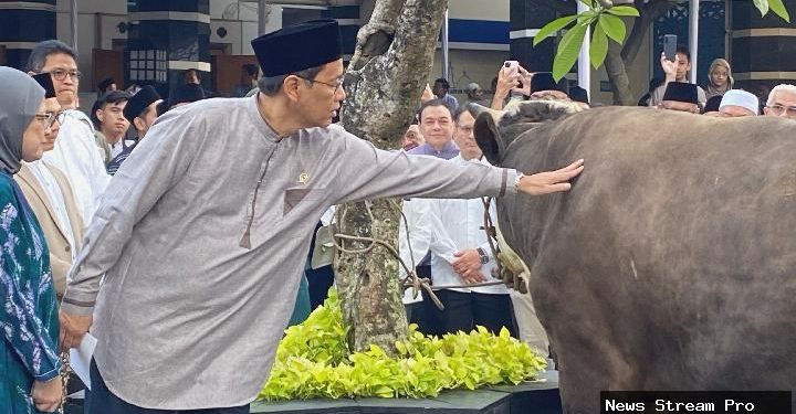 Purbaya kurban sapi, pakai dana pribadi setelah batal haji