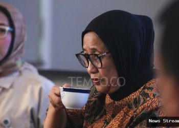 Rekam jejak Nanik S Deyang di BGN